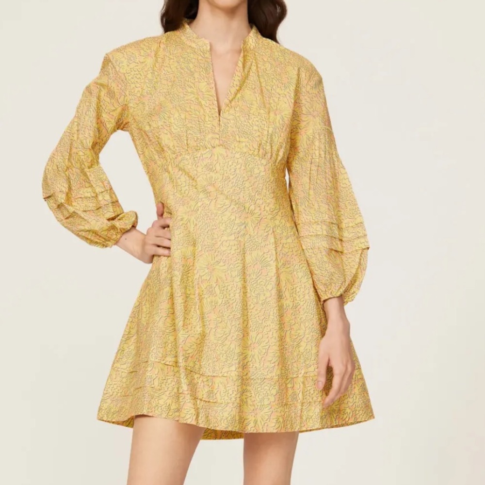 Derek Lam Paisley Floral Dress